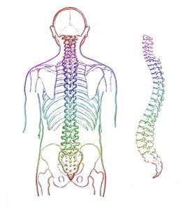 Ability Rehabilitation Degenerative Disc Disease