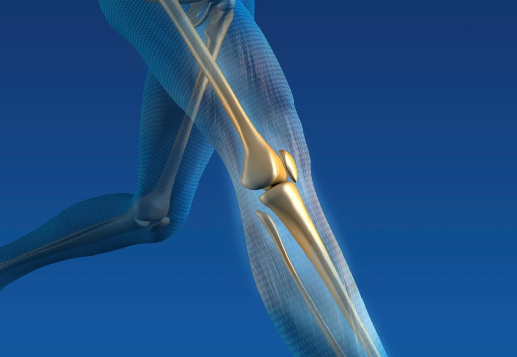Ability Rehabilitation knee