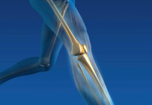 Ability Rehabilitation ACL