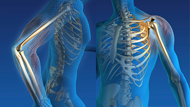Total shoulder and elbow replacements